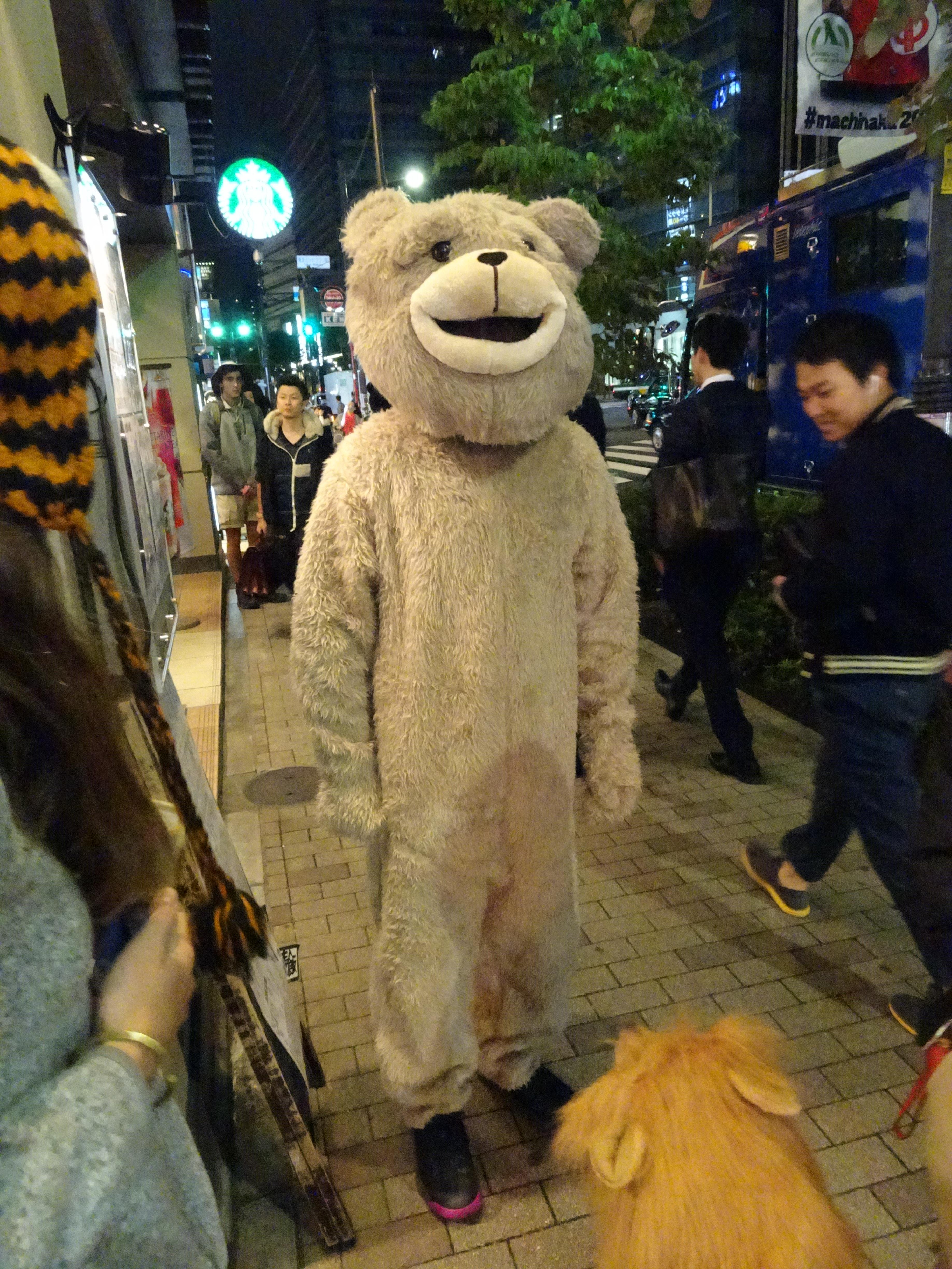 Creepy bear.jpg