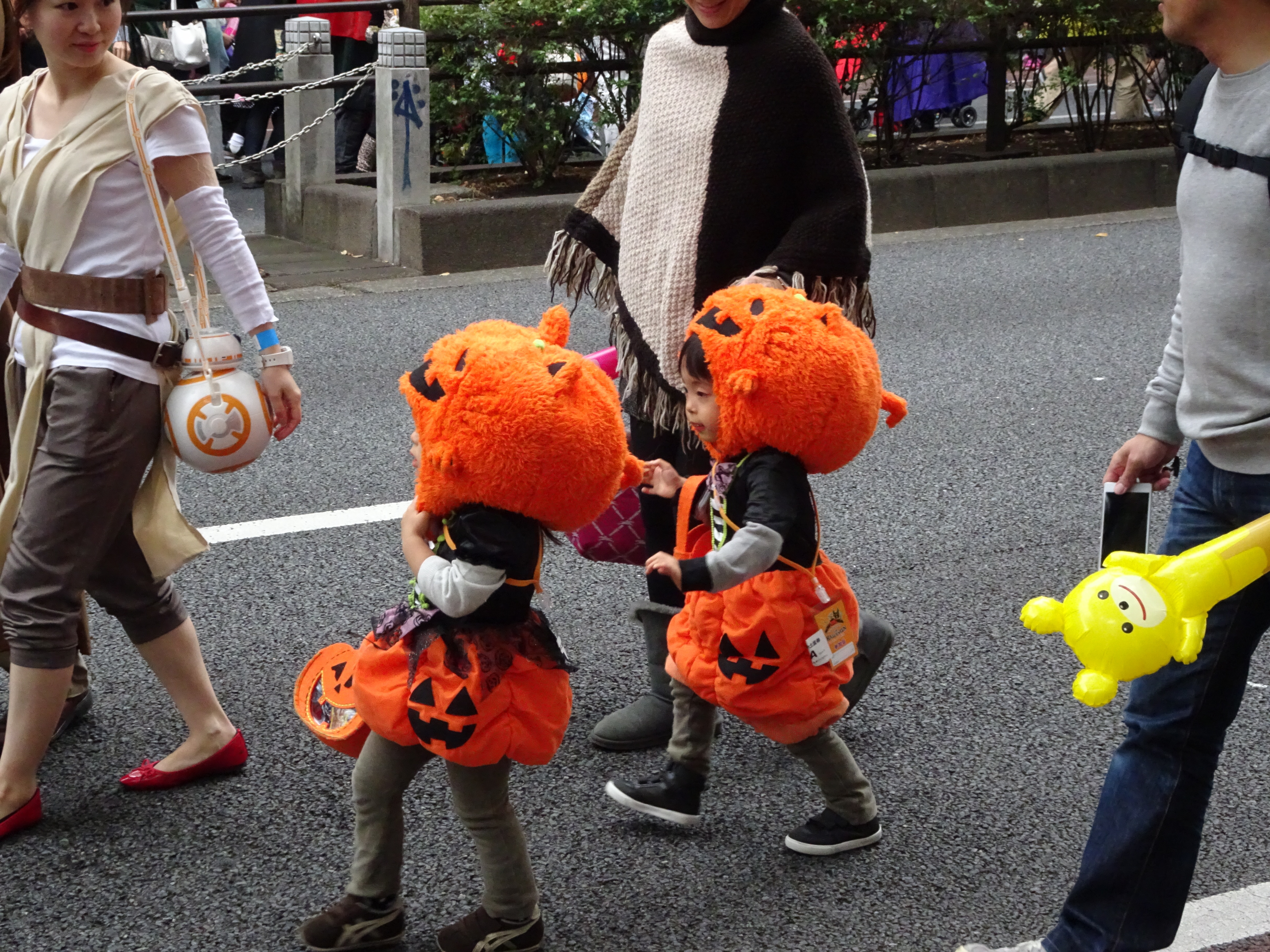 Cute little pumpkins.jpg