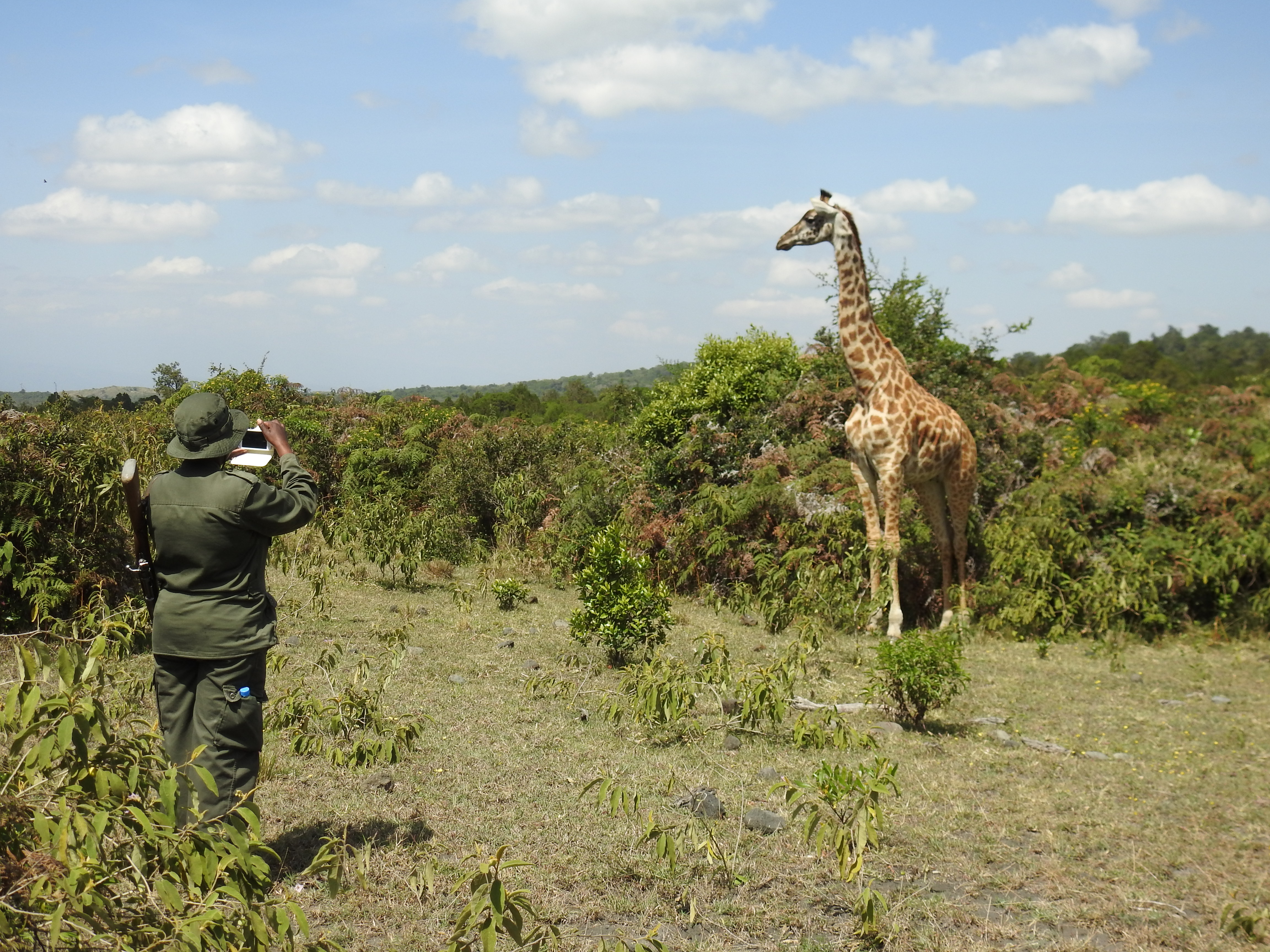 Giraffe_Guide_Selfie.jpg